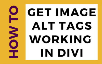 How to get image alt tags working on a Divi website